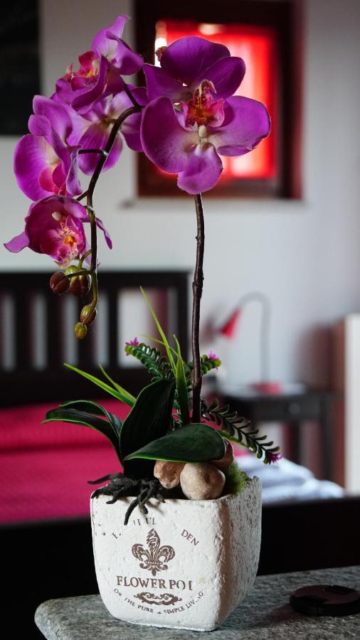 Bed & Breakfast Milu クーネオ エクステリア 写真